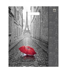 Пакет с вырубной усиленной  ручкой ПВД 38*45 60мкм в ассортименте, упаковка 50шт 